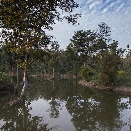 Wowstayz Pachmarhi Ecotel Zewnętrze zdjęcie