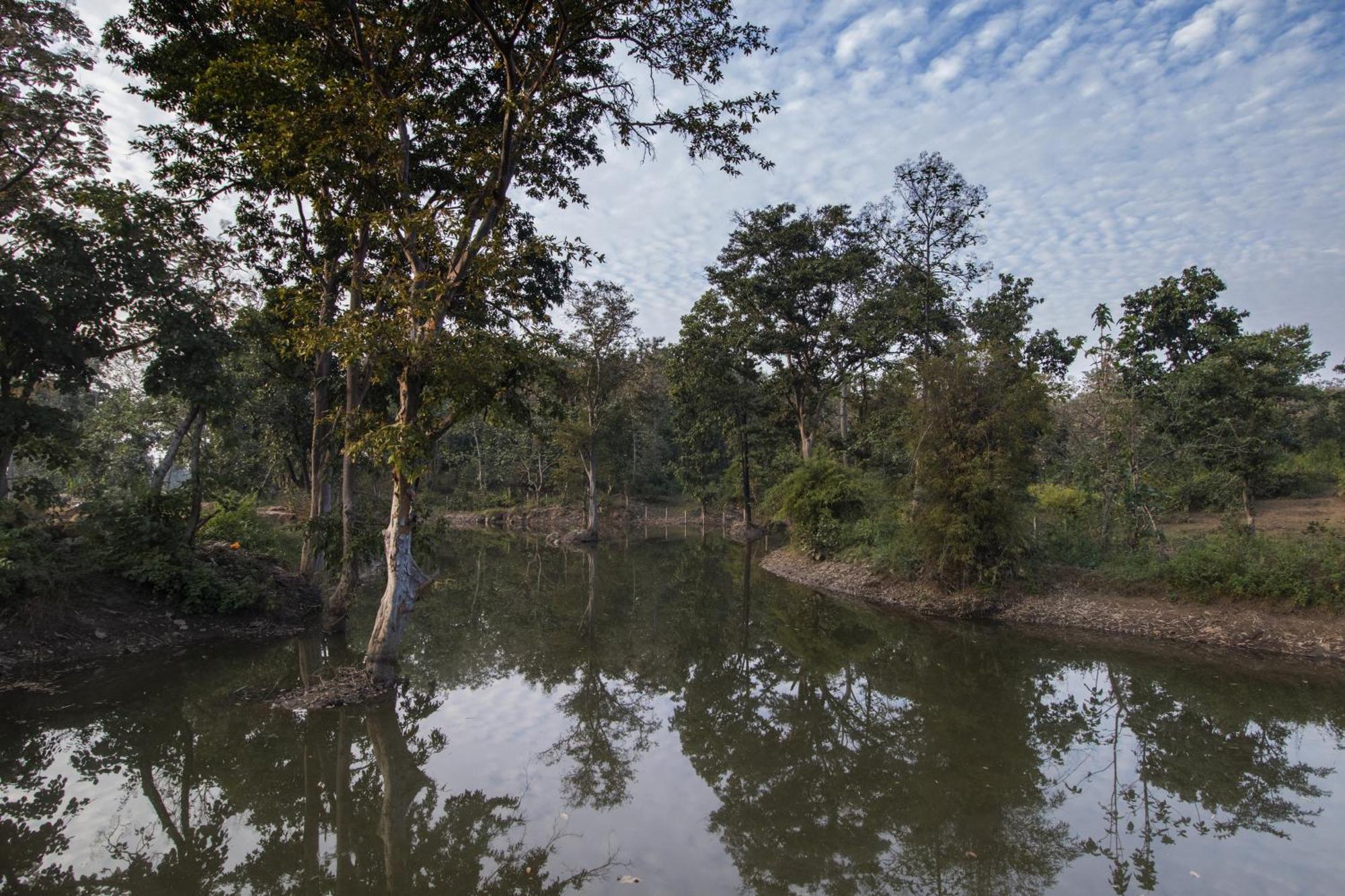 Wowstayz Pachmarhi Ecotel Zewnętrze zdjęcie